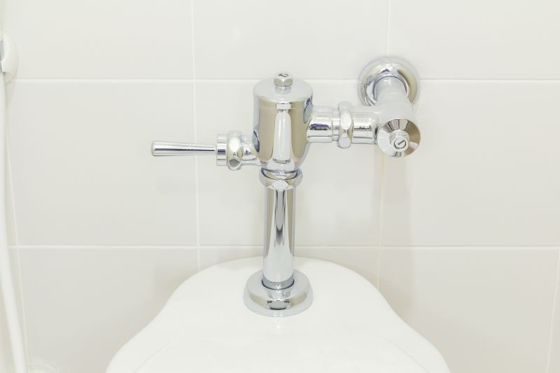 Toilet Parts Replacement in Denver, CO